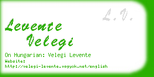 levente velegi business card